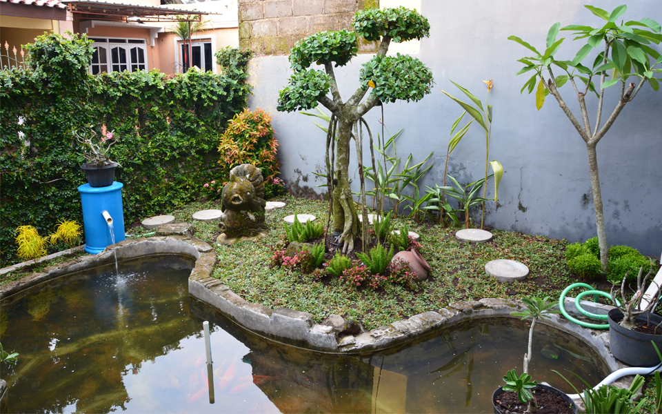 Garden Water Features