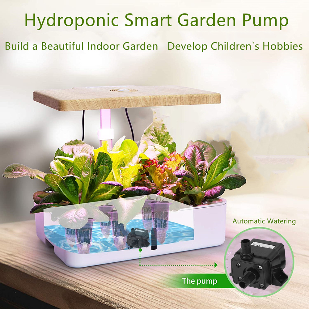 hydropnics pump 09 1000.jpg